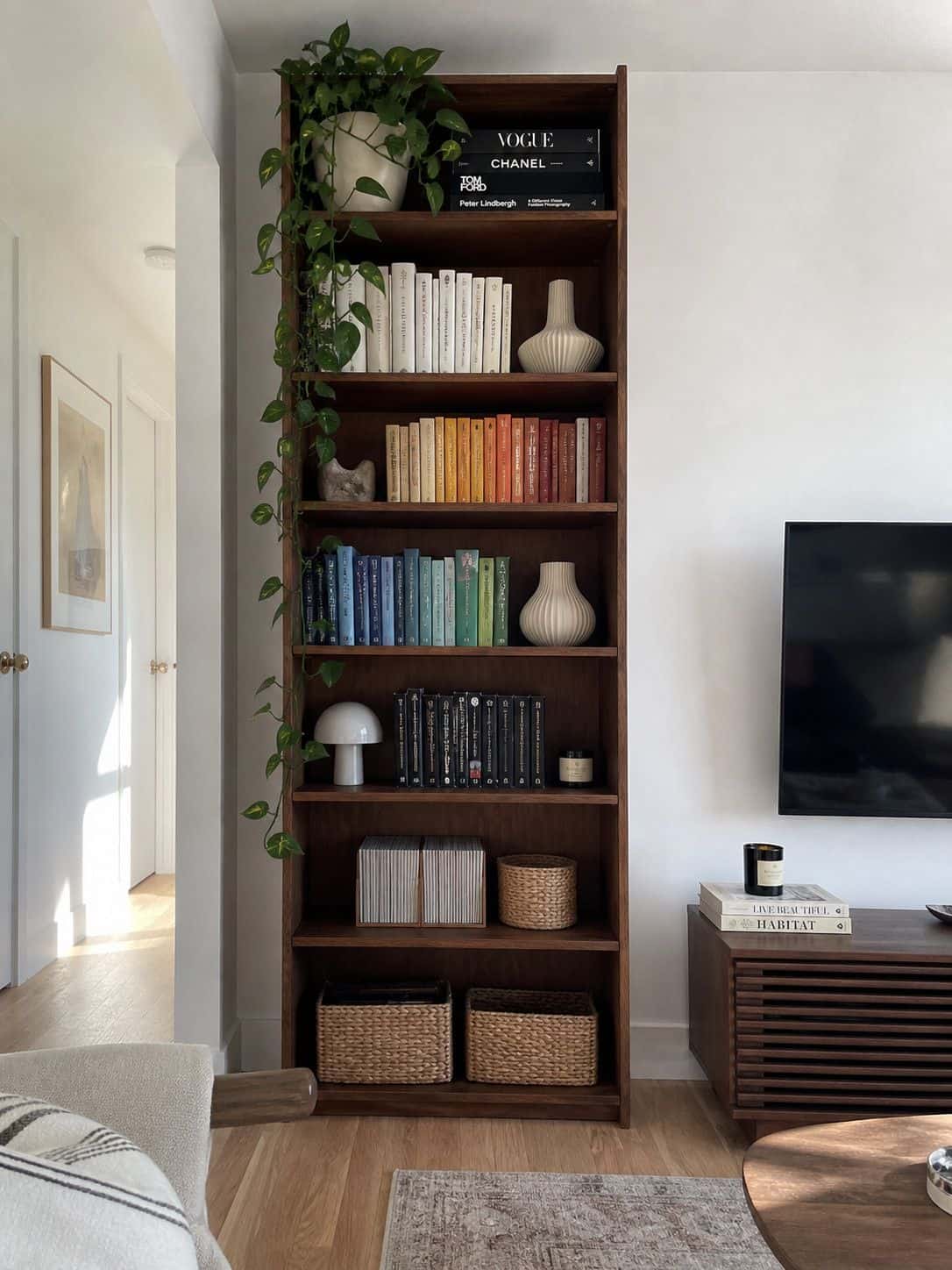 Tall narrow walnut bookcase using vertical storage in a small apartment living room