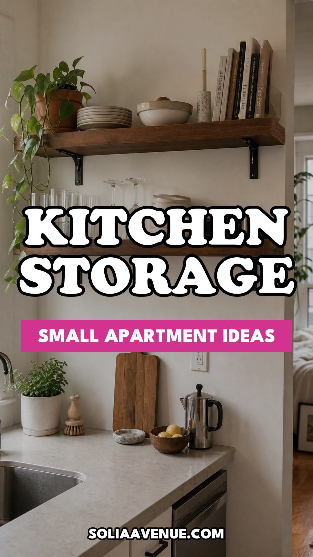 Pinterest pin for Top 20 Small Apartment Kitchen Storage Ideas That Double Your Counter Space from Solia Avenue.