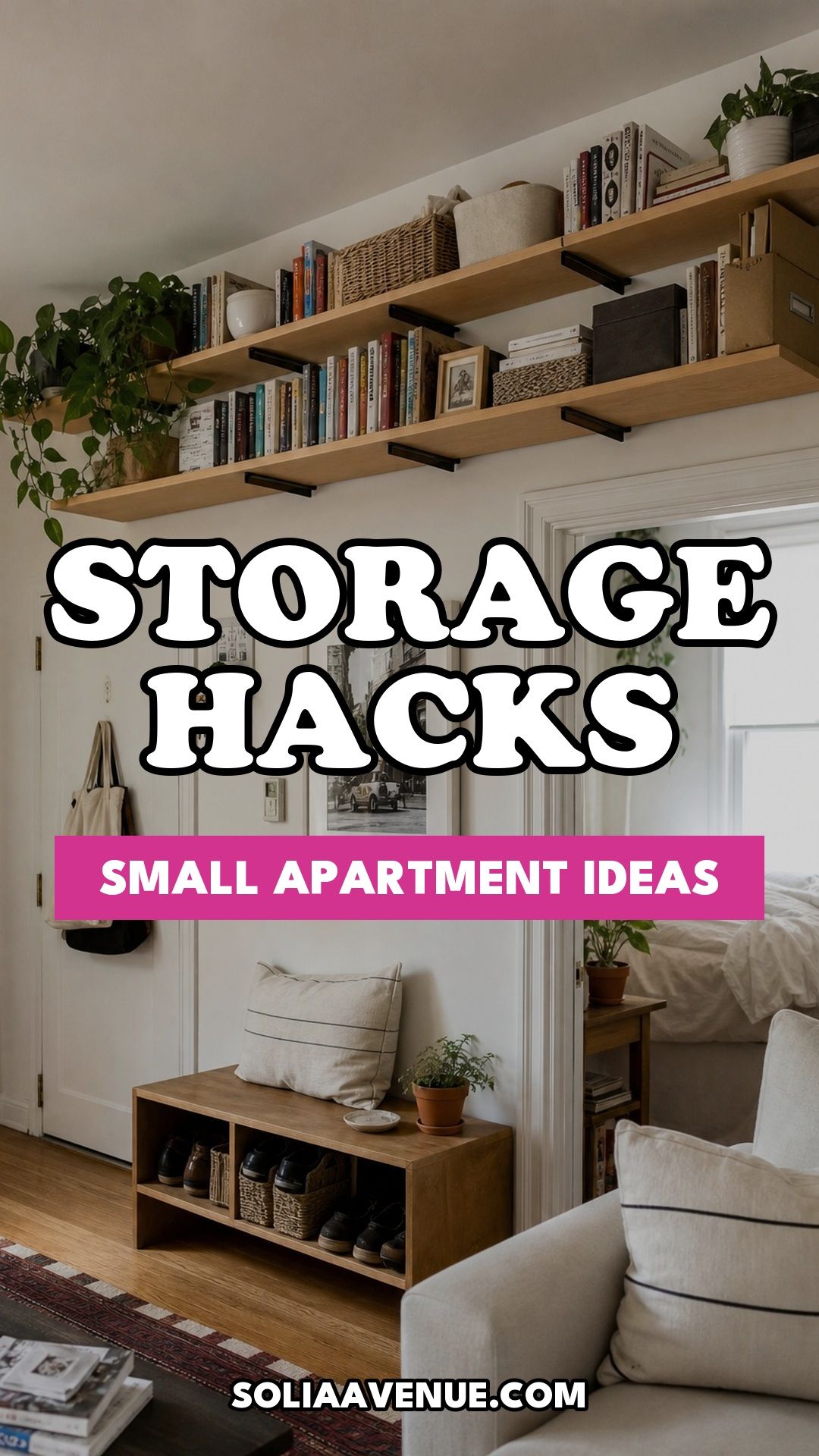 Pinterest pin for Top 18 Genius Small Apartment Storage Hacks from Solia Avenue.