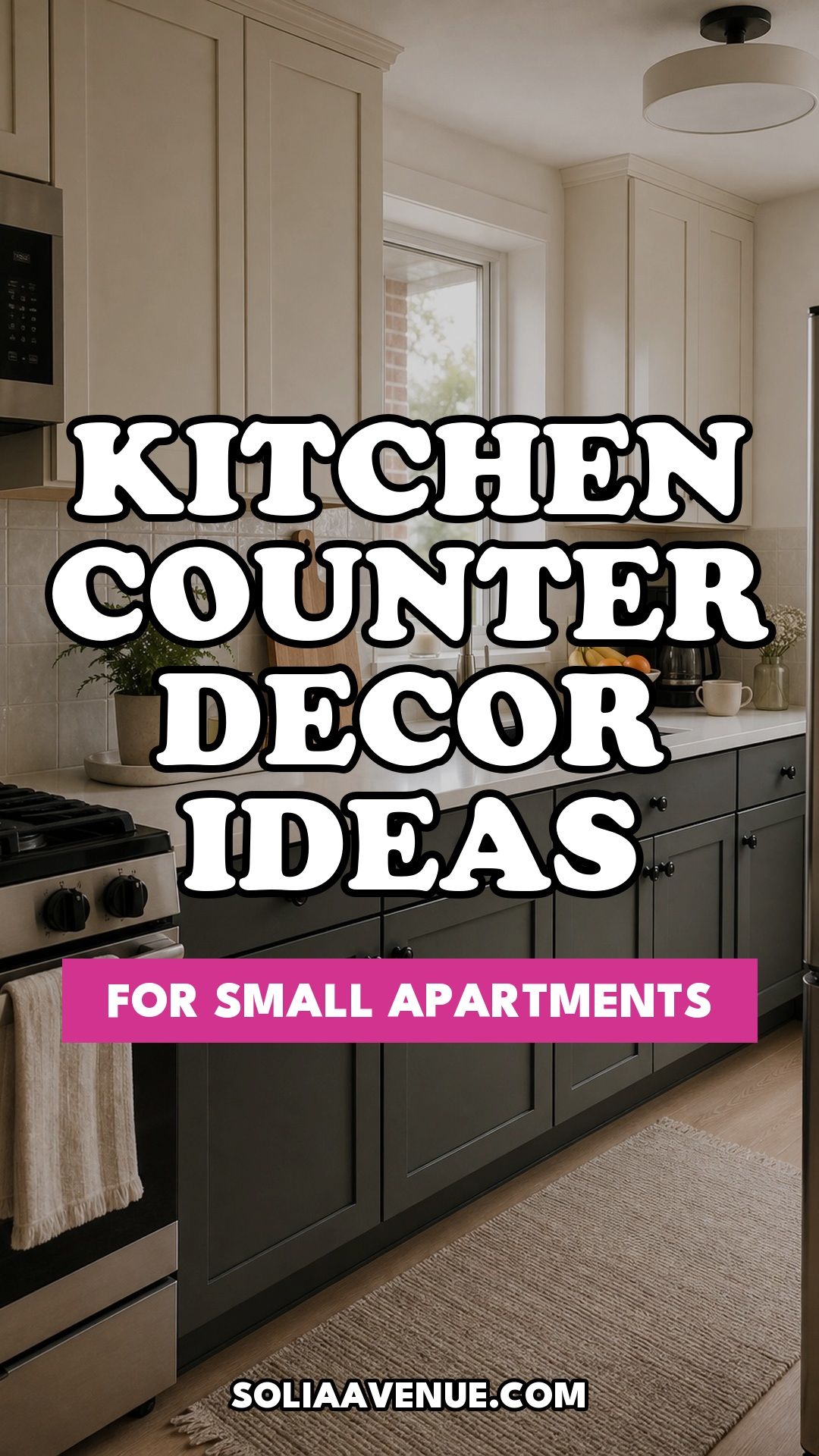 Pinterest pin for Top 19 Kitchen Counter Decor Ideas for Small Apartments from Solia Avenue.