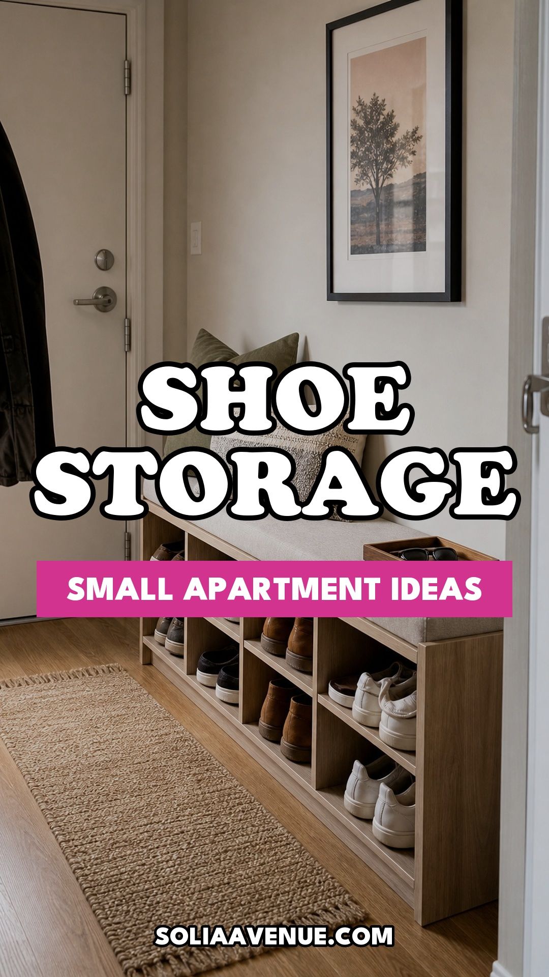 Pinterest pin for Top 18 Small Apartment Shoe Storage Ideas That Actually Work from Solia Avenue.
