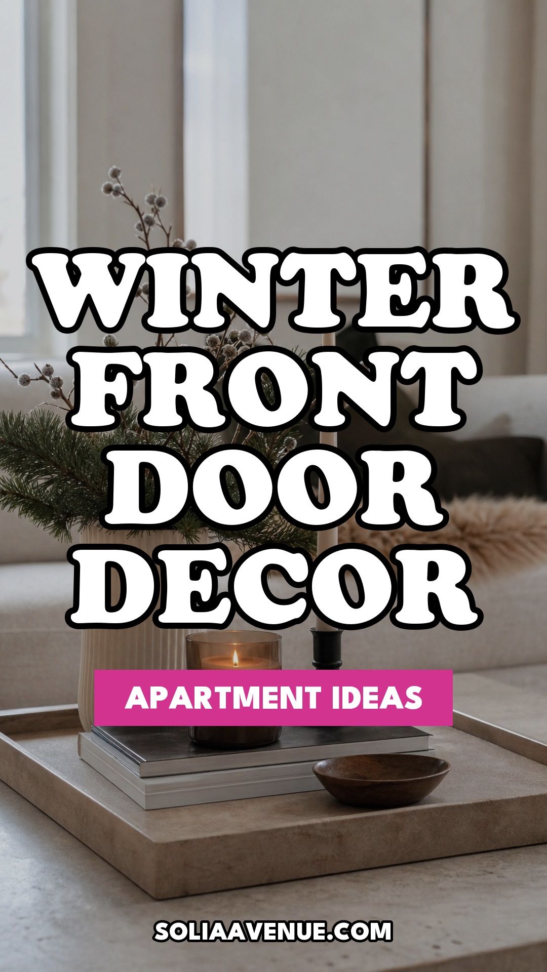 Pinterest pin for Top 17 Winter Front Door Decor Ideas for Apartments from Solia Avenue.