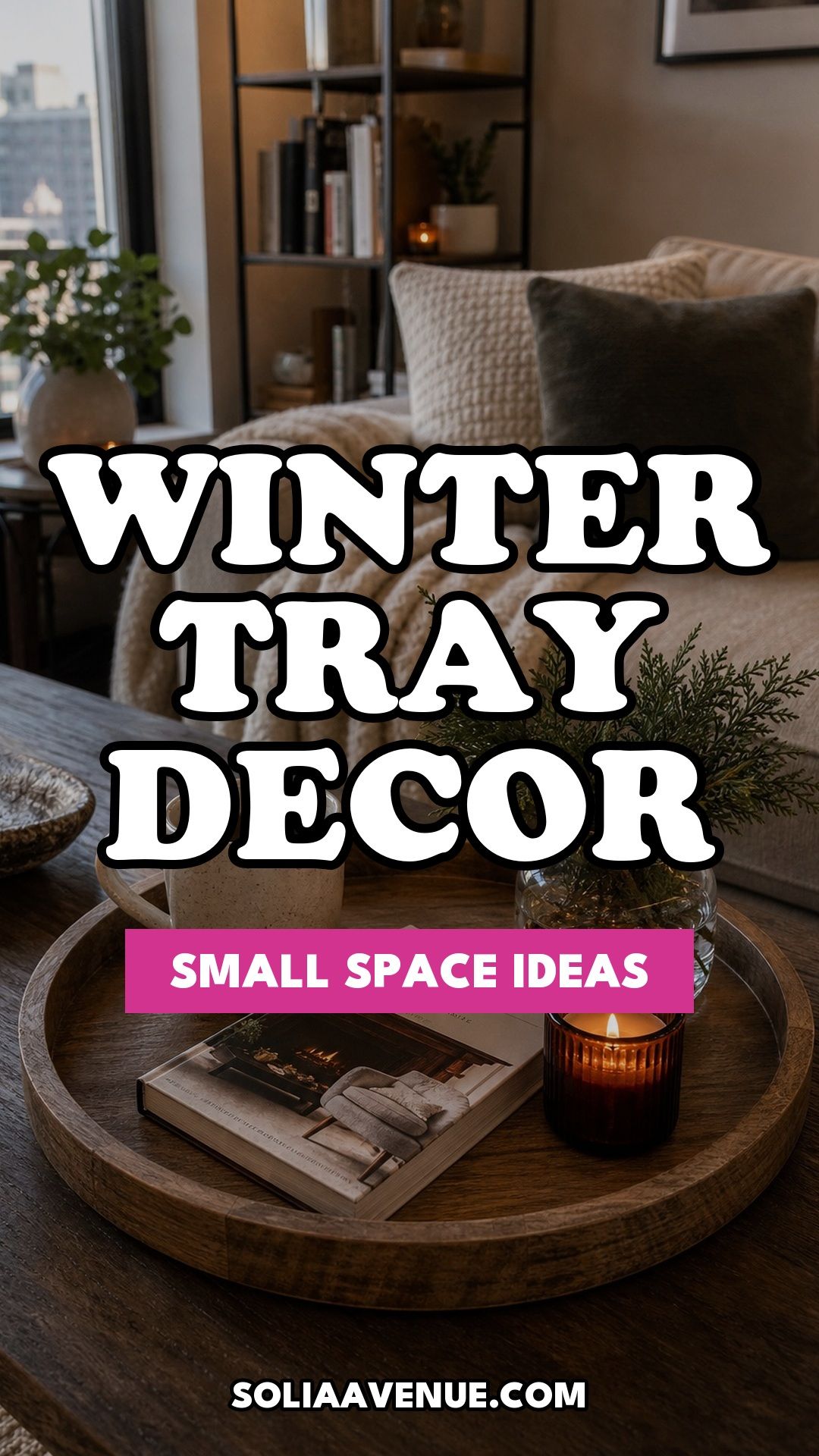 Pinterest pin for Top 16 Winter Tray Decor Ideas for Small Spaces from Solia Avenue.