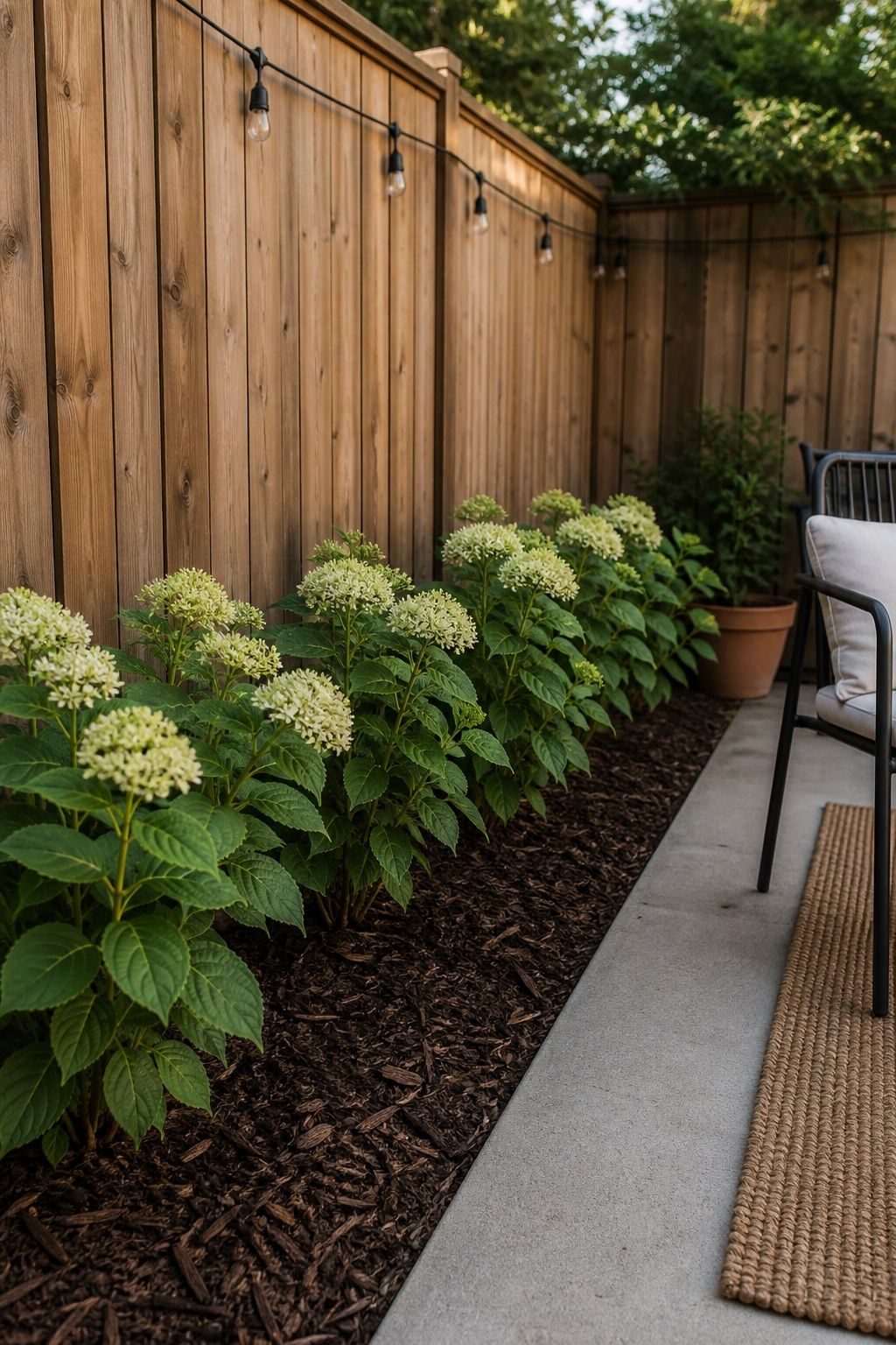 Repeat One Plant for a Designed Look small apartment idea for Top 16 Cheap Backyard Ideas That Actually Look Expensive.