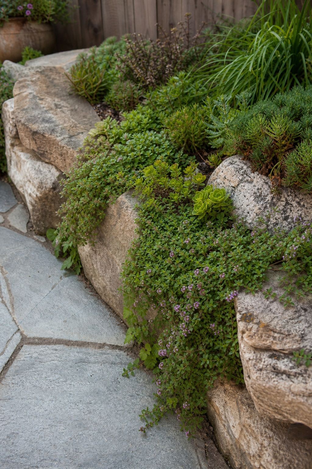 Let Plants Spill Over the Stone small apartment idea for Top 17 Landscaping With Large Rocks Ideas That Actually Look Natural.