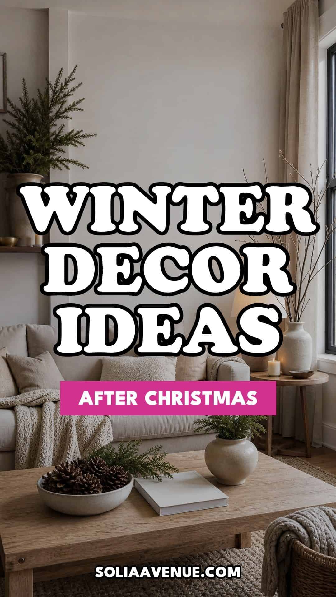 Pinterest pin for Top 19 After-Christmas Winter Decor Ideas for Small Apartments from Solia Avenue.