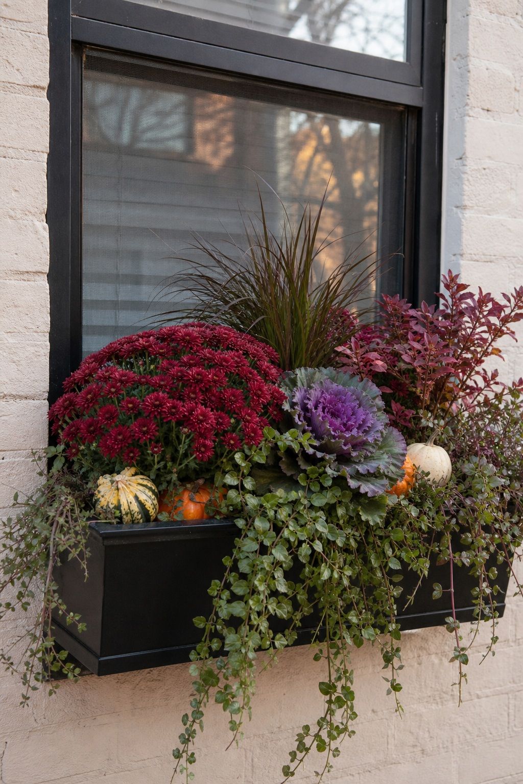 Layer Window Boxes With Jewel-Toned Plants small apartment idea for Top 18 Fall Outdoor Decor Ideas for the Yard, Walkway, and Garden.