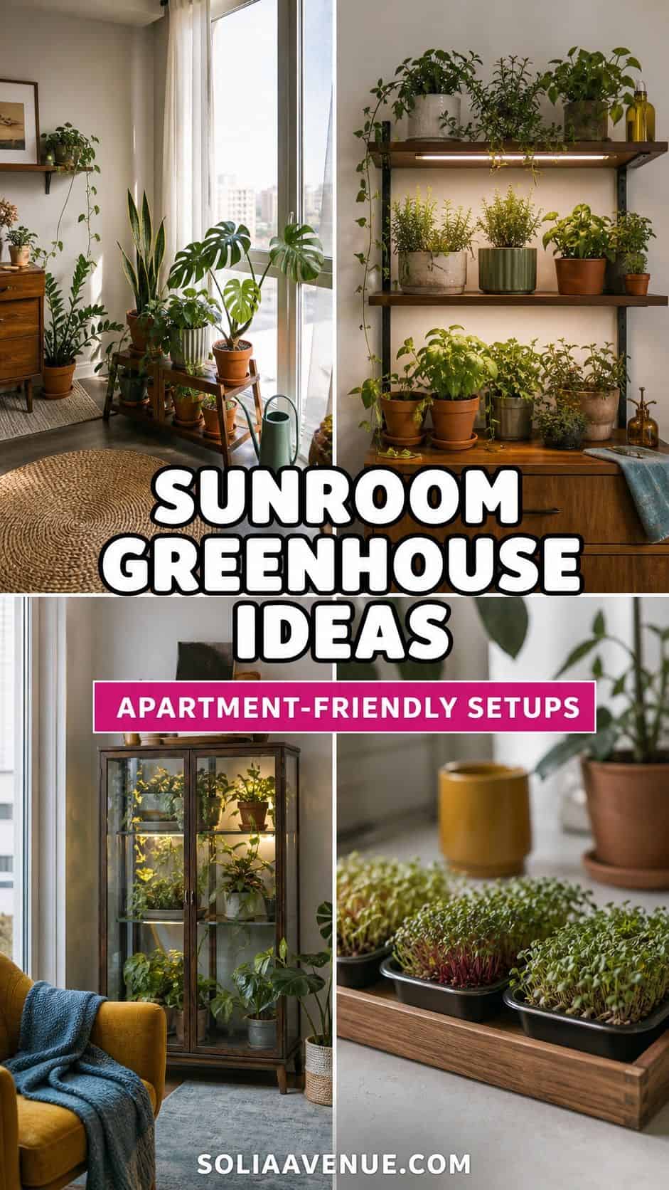 Pinterest collage for apartment sunroom greenhouse ideas with bright plant shelves and microgreen trays