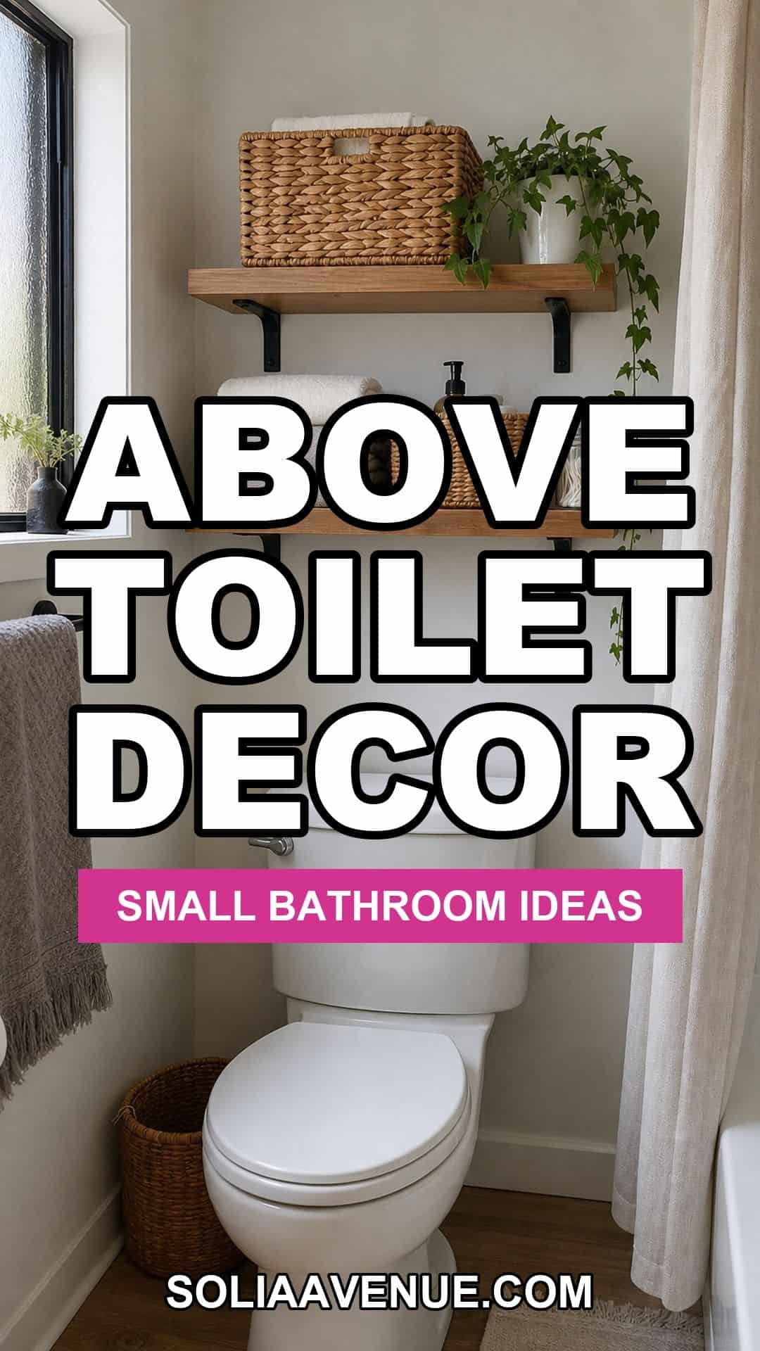Above toilet decor ideas for a small apartment bathroom