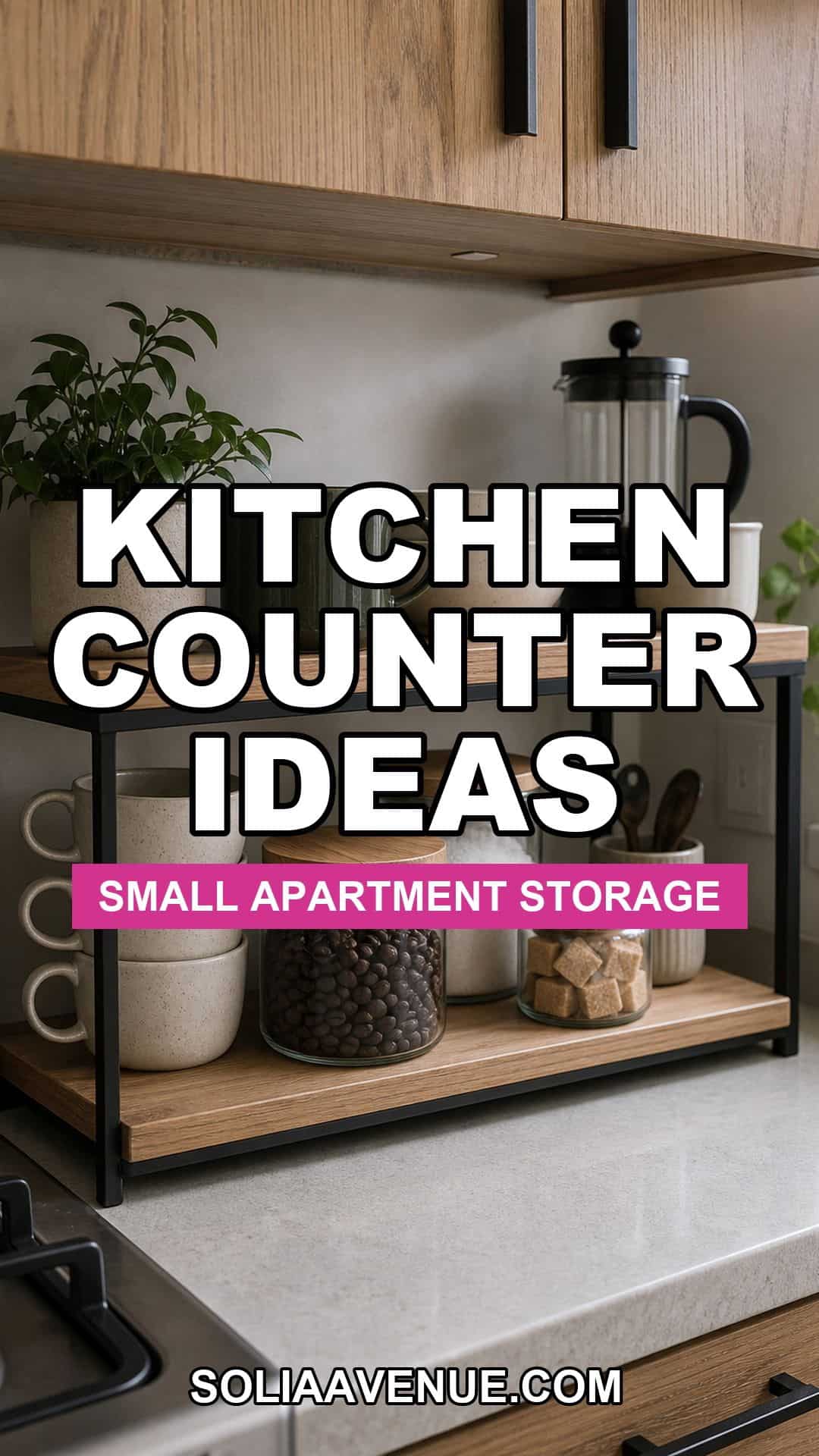 Kitchen counter organization ideas for small apartment storage
